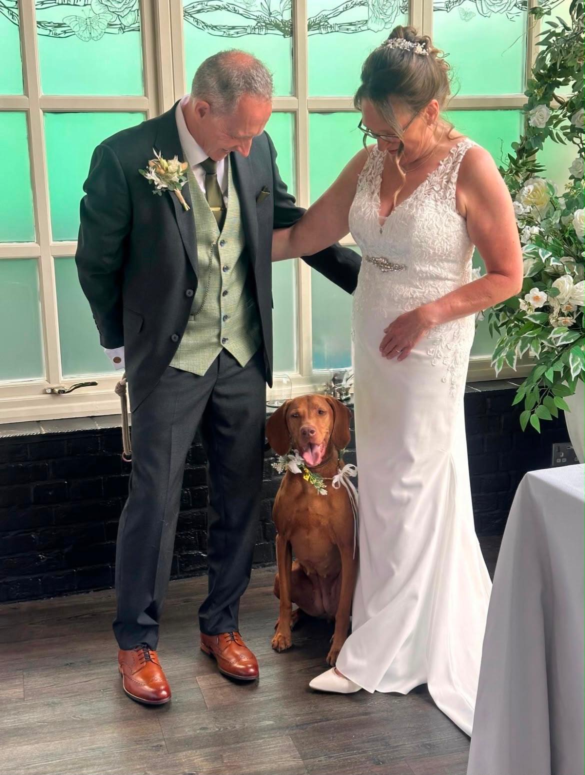 wedding couple with their vizsla wearing a floral collar
